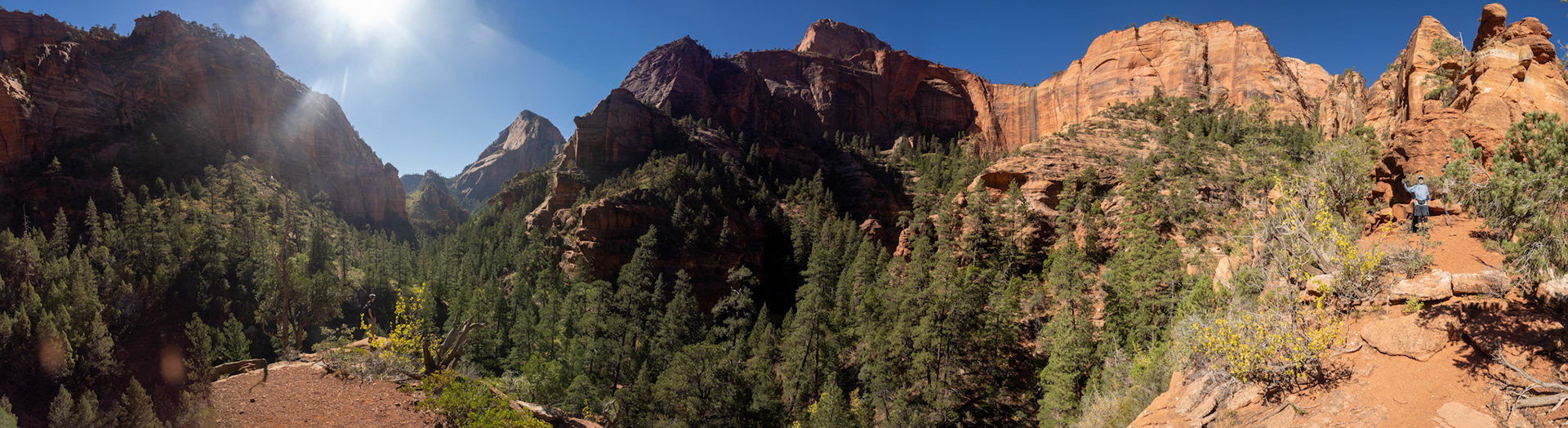 A fantastic 270 deep in the side canyon containing Kolob Arch.