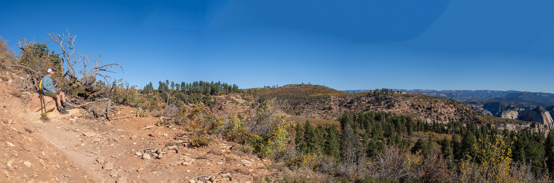 Southern Exposure