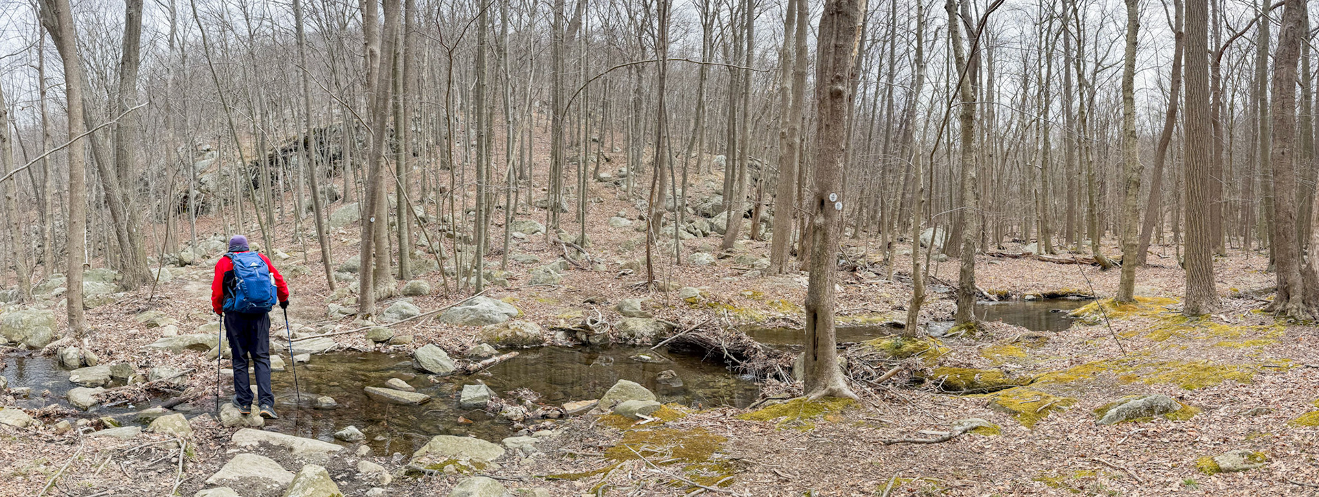 Water Crossing near the base of the final climb up to the fire tower.