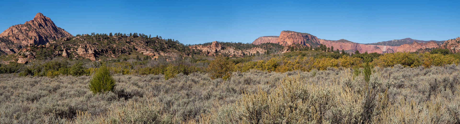 270 degrees of Kolob Terrace