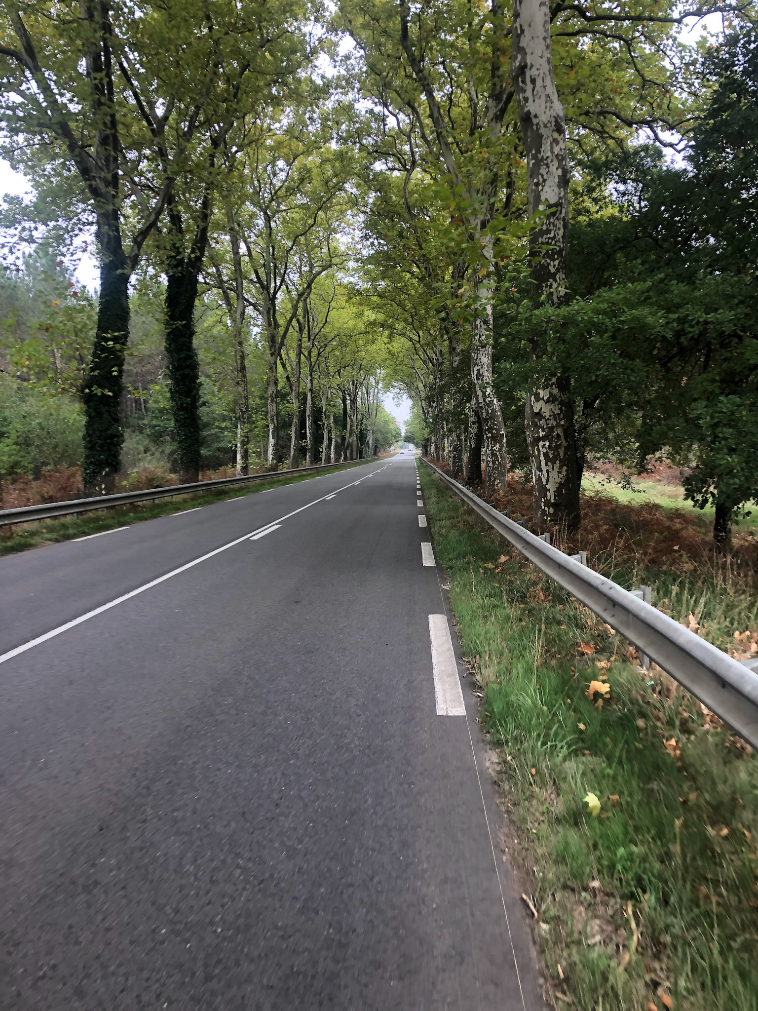 Not really a shoulder