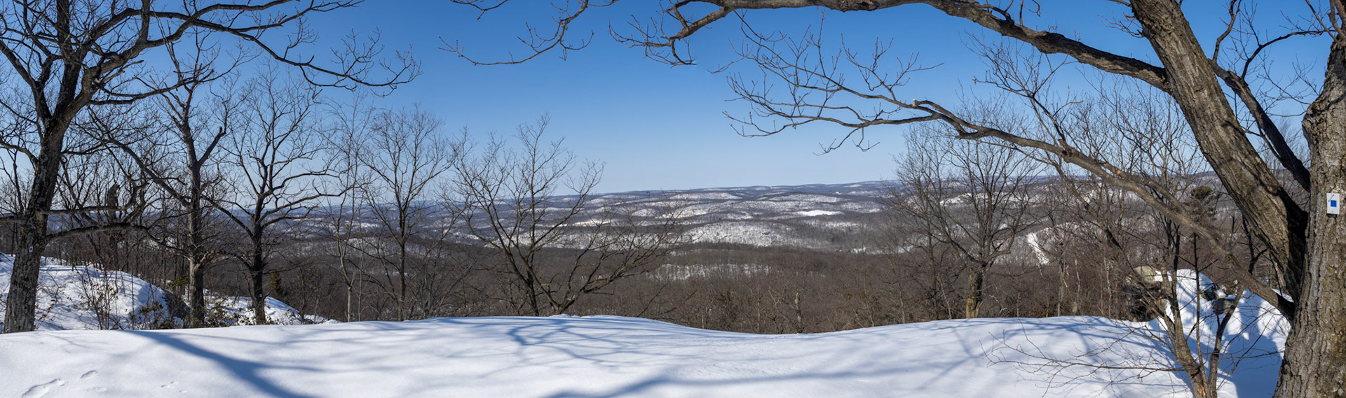 Seven Hills