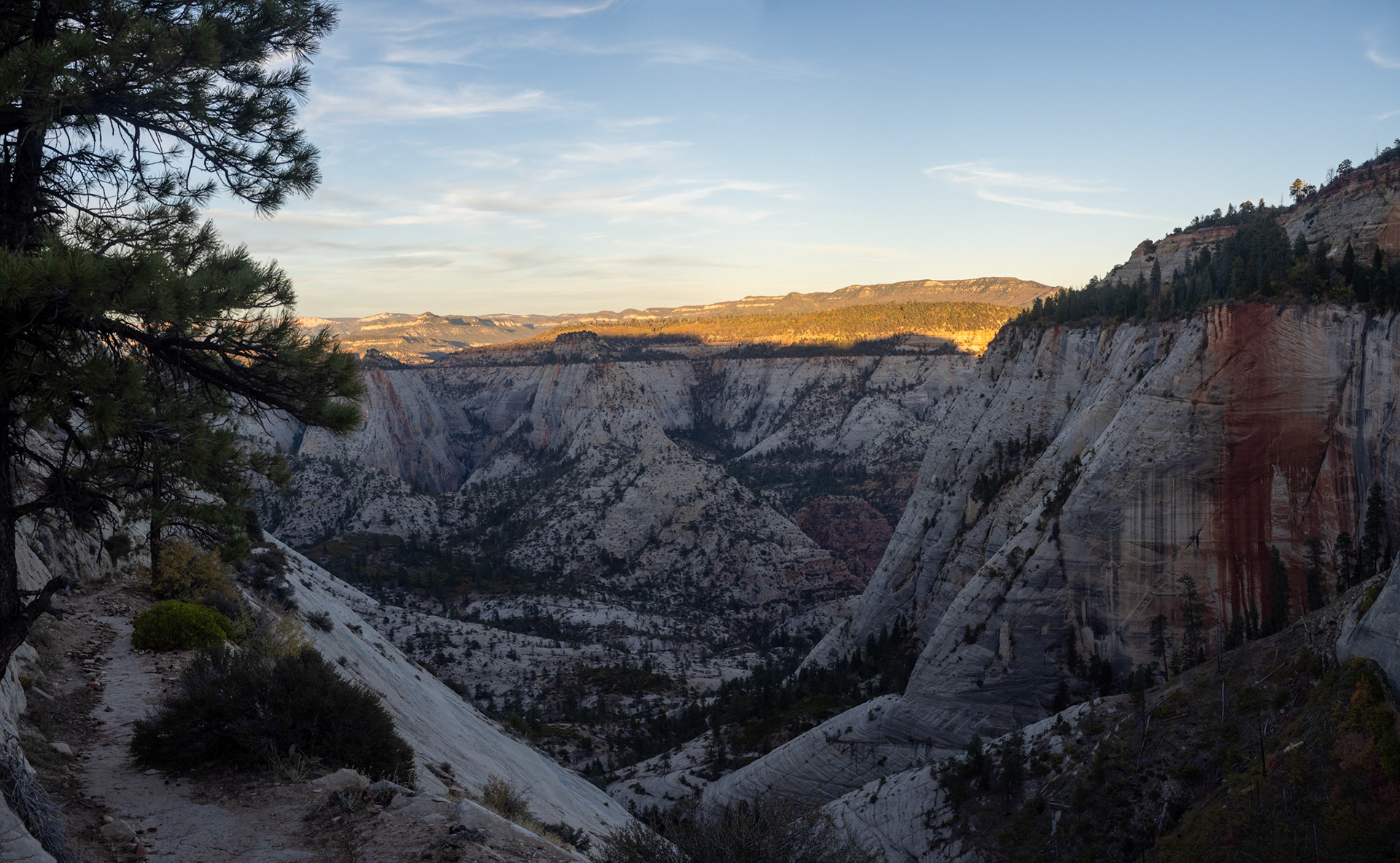 Late afternoon light. You can see the trail below as well.