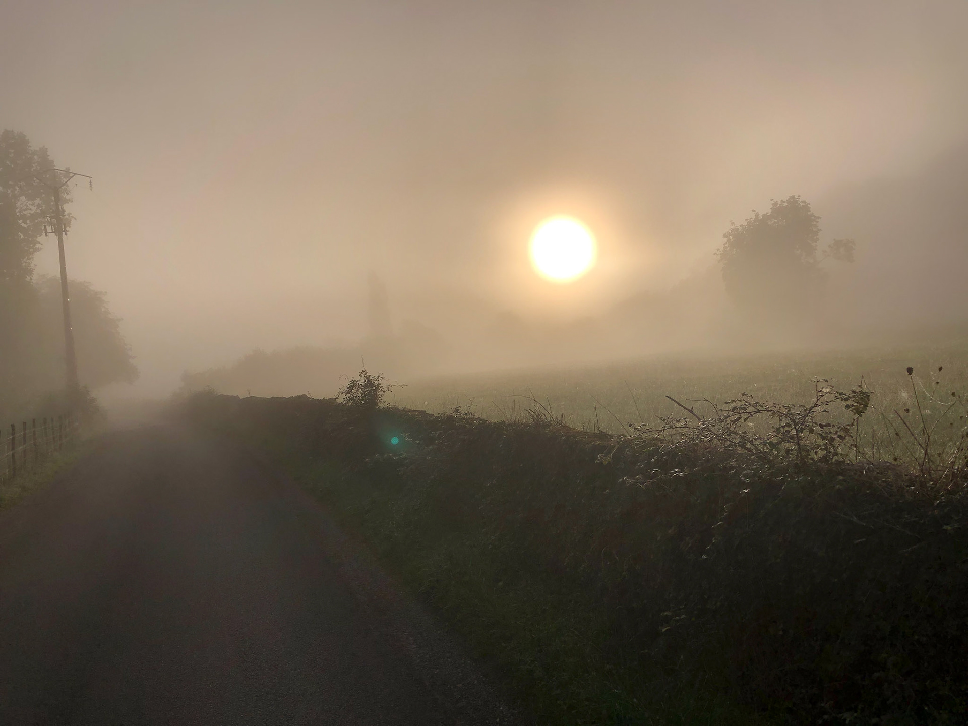 Early haze