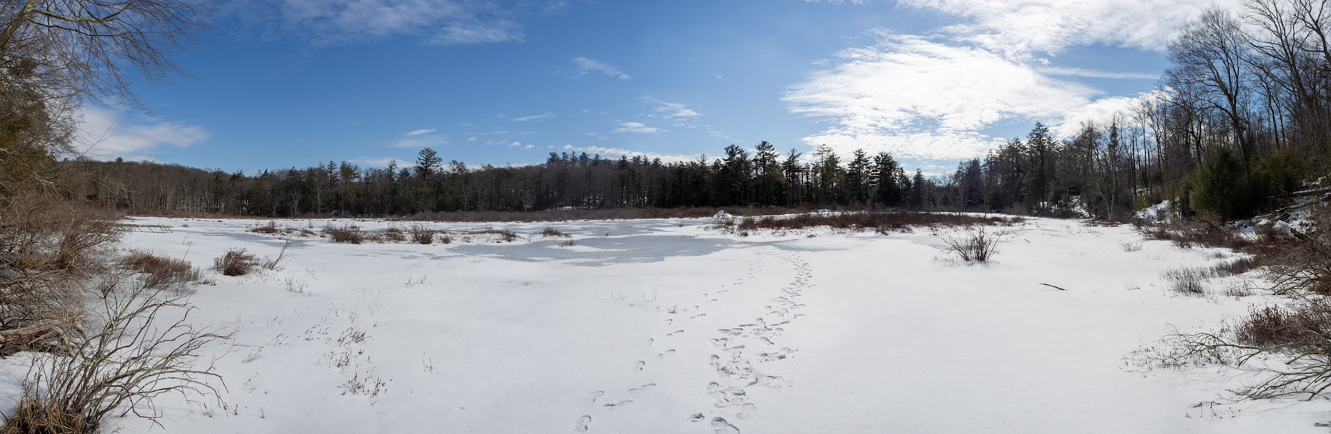On the ice Pine Swamp