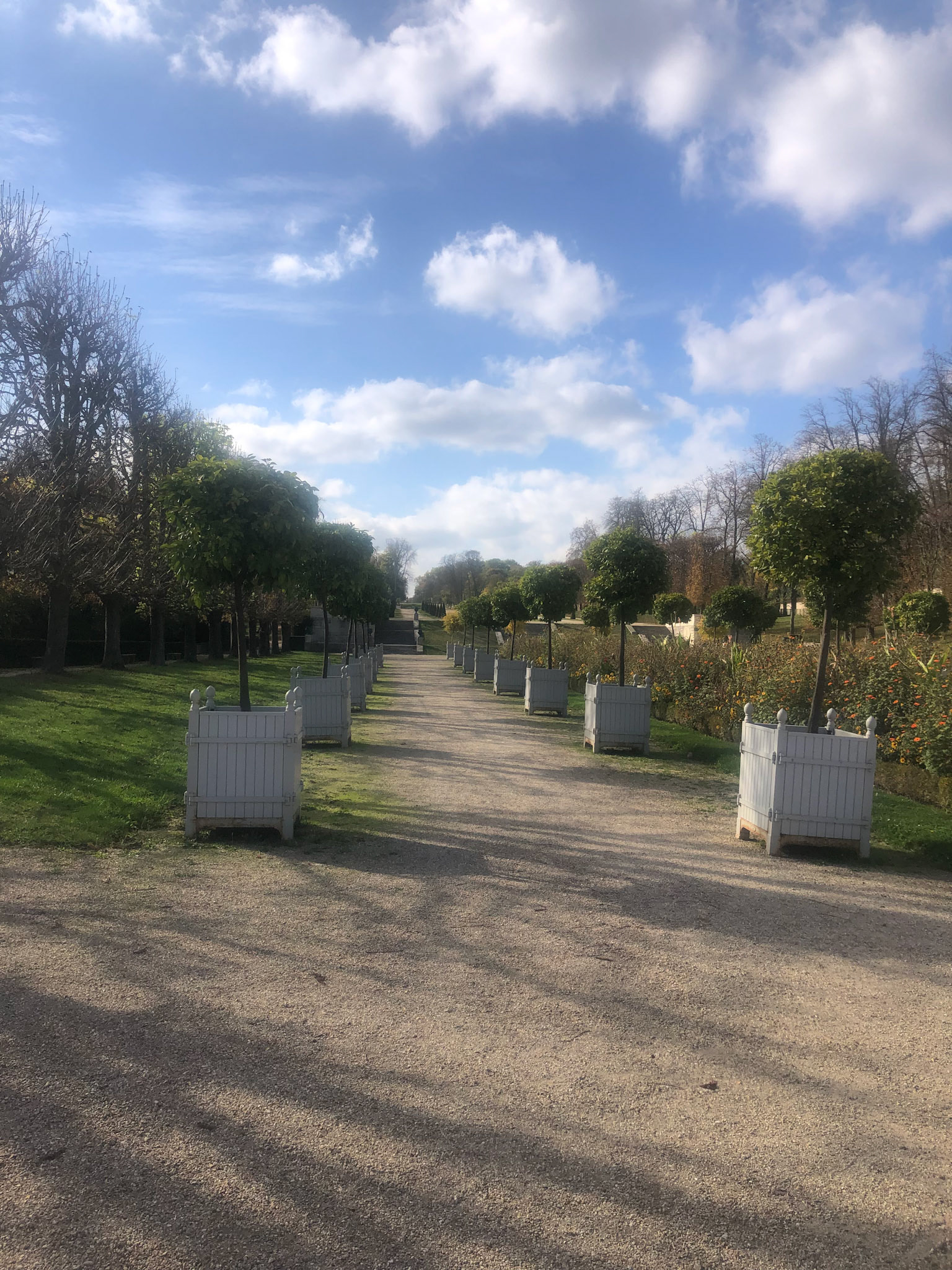 Some park that google routed me into