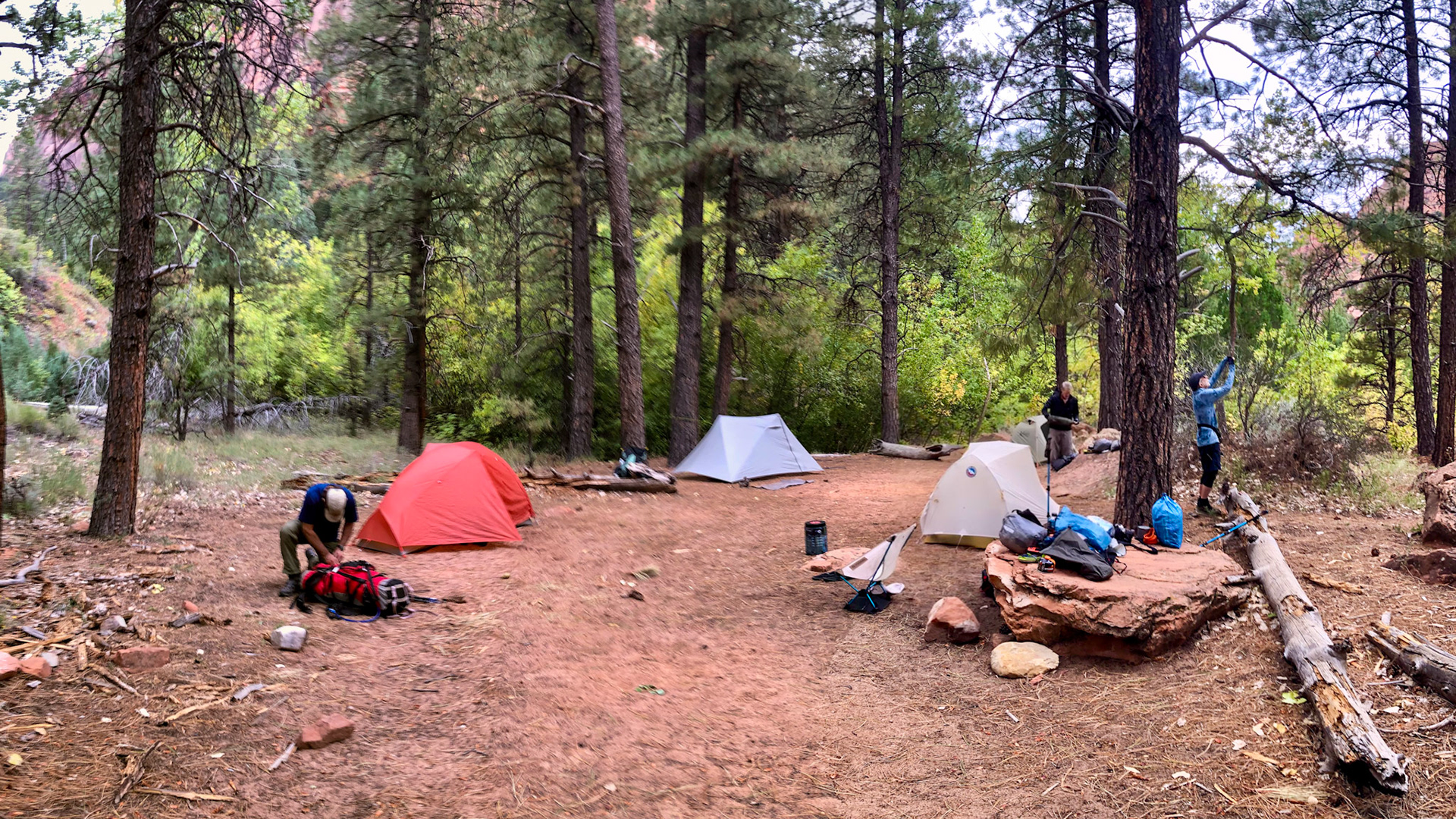 Campsite 10 on La Verkin Creek