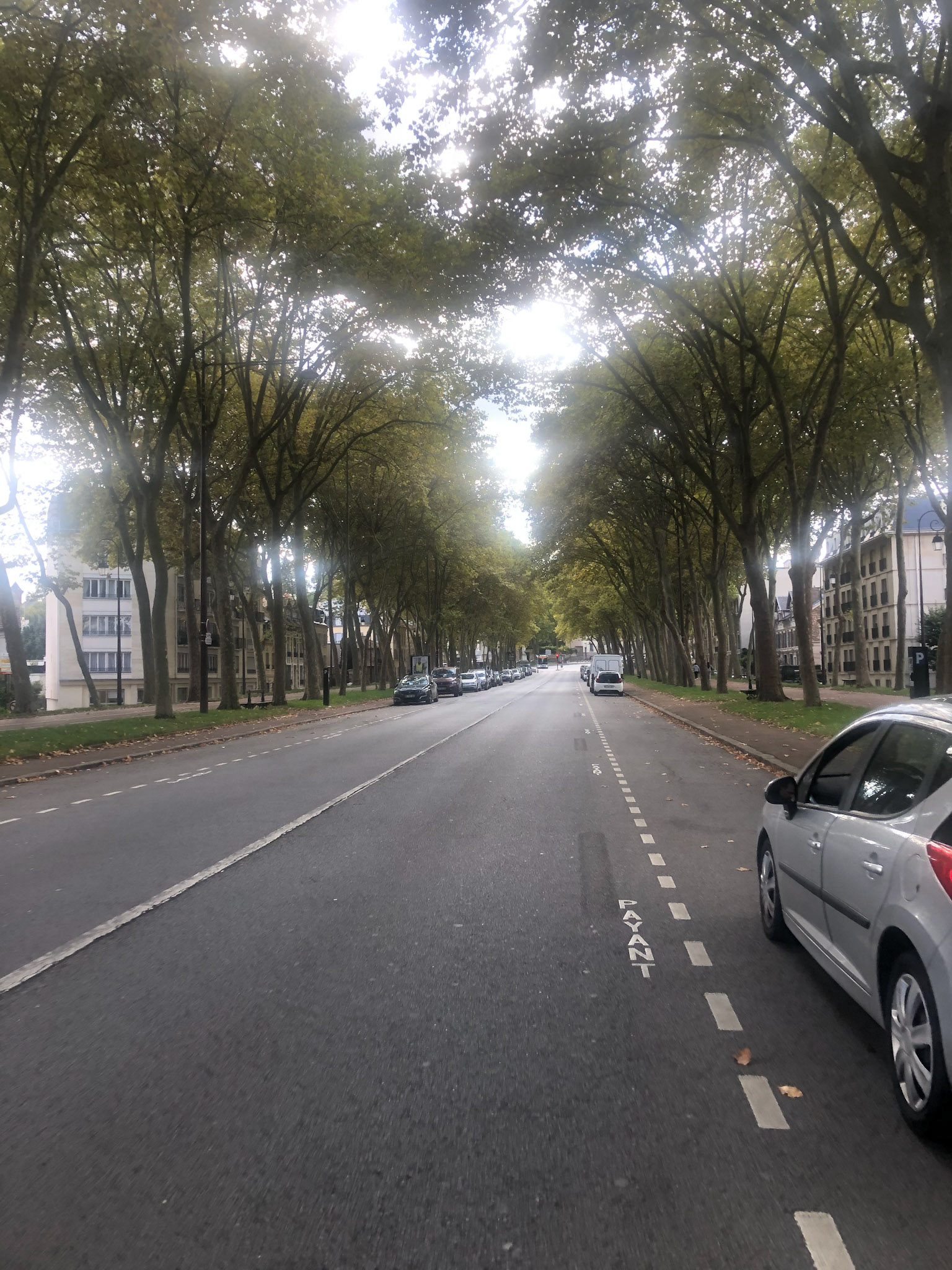 Tree lined streets