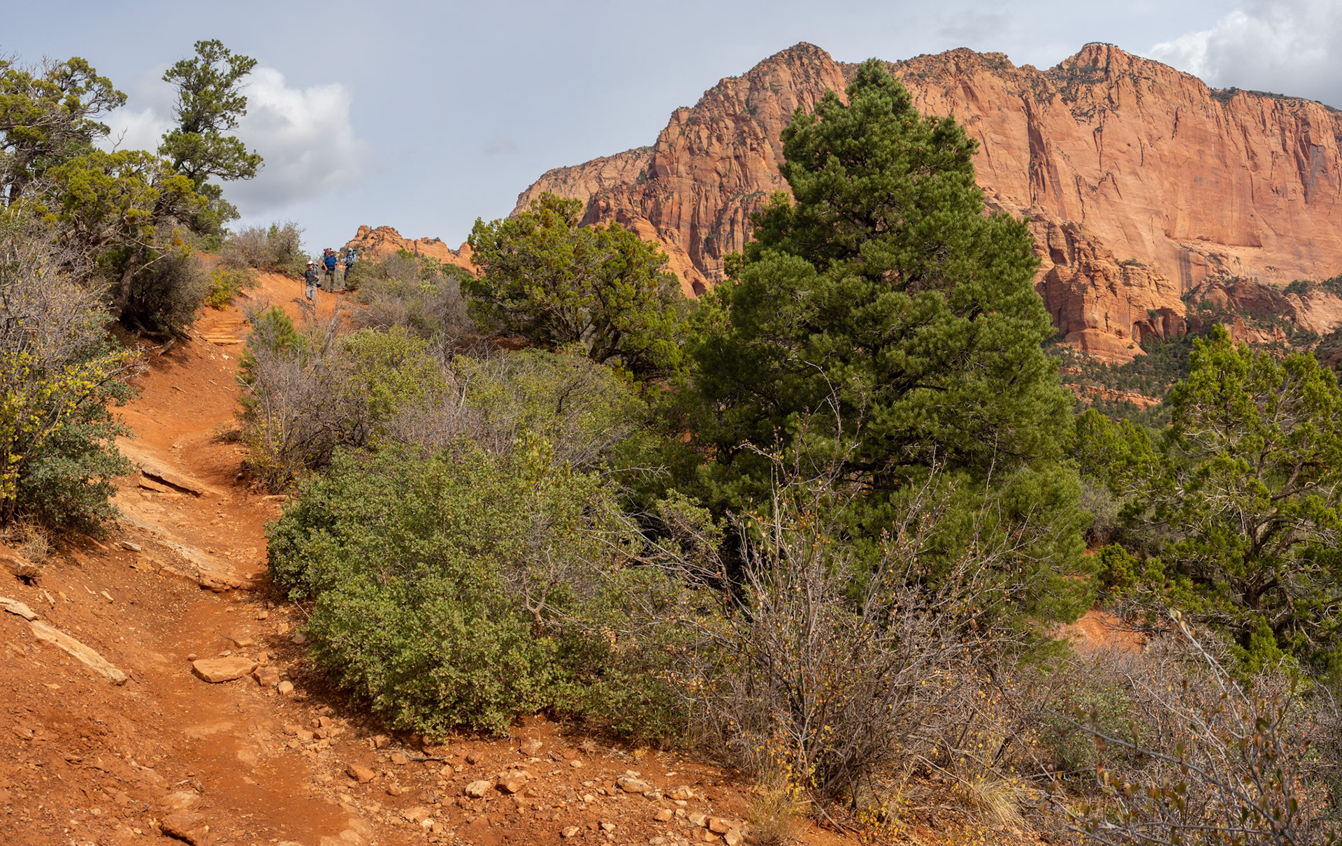 That Navajo Sandstone