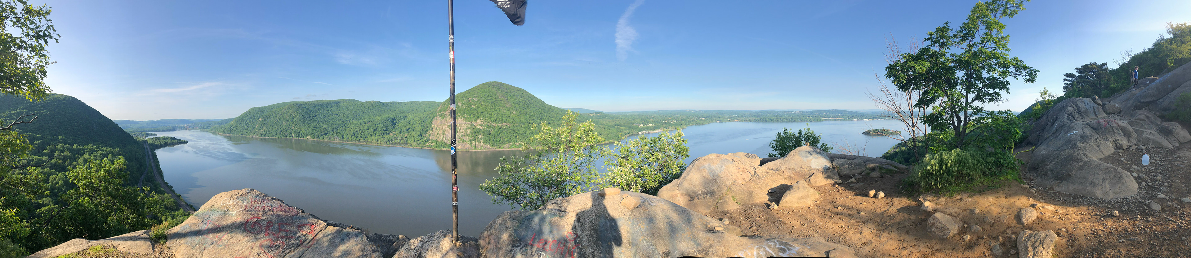 Late Spring trees with foliage