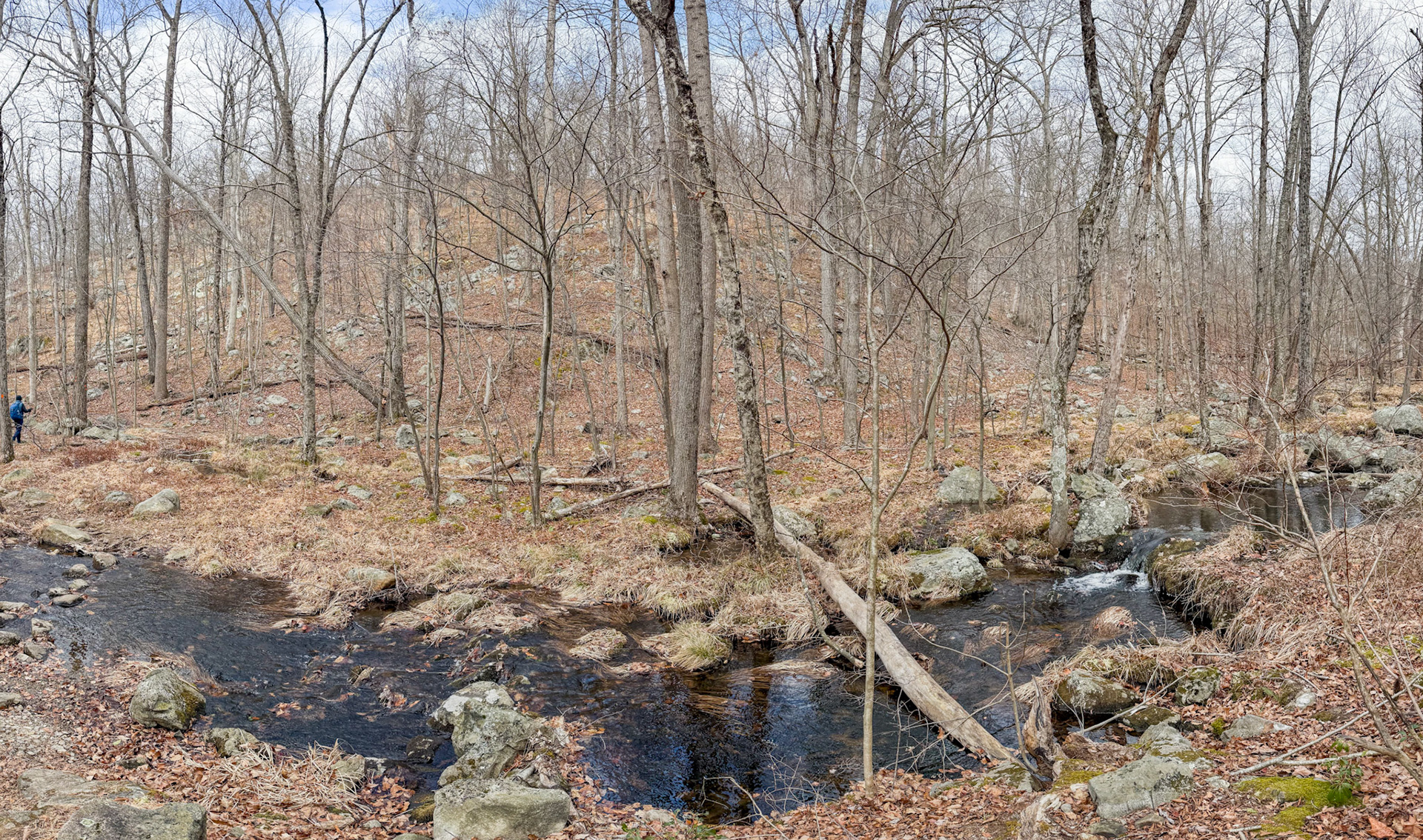 Somewhere South of Reeves Meadow