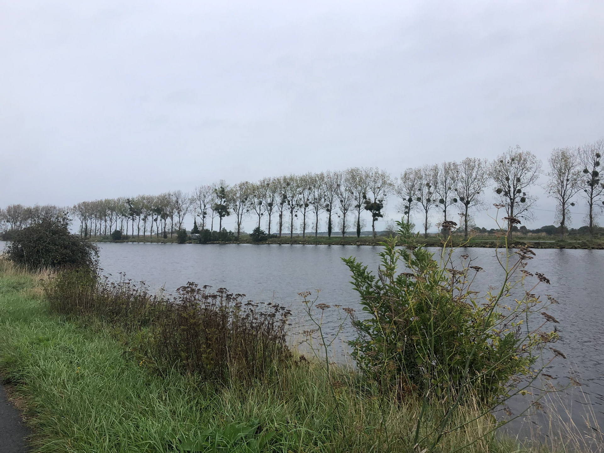 Don't know what the clumps are