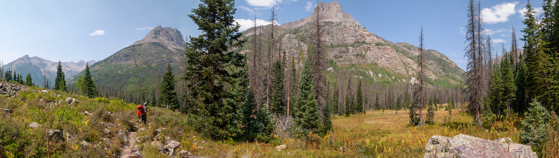 I reprocessed this image as well, and it is much nicer