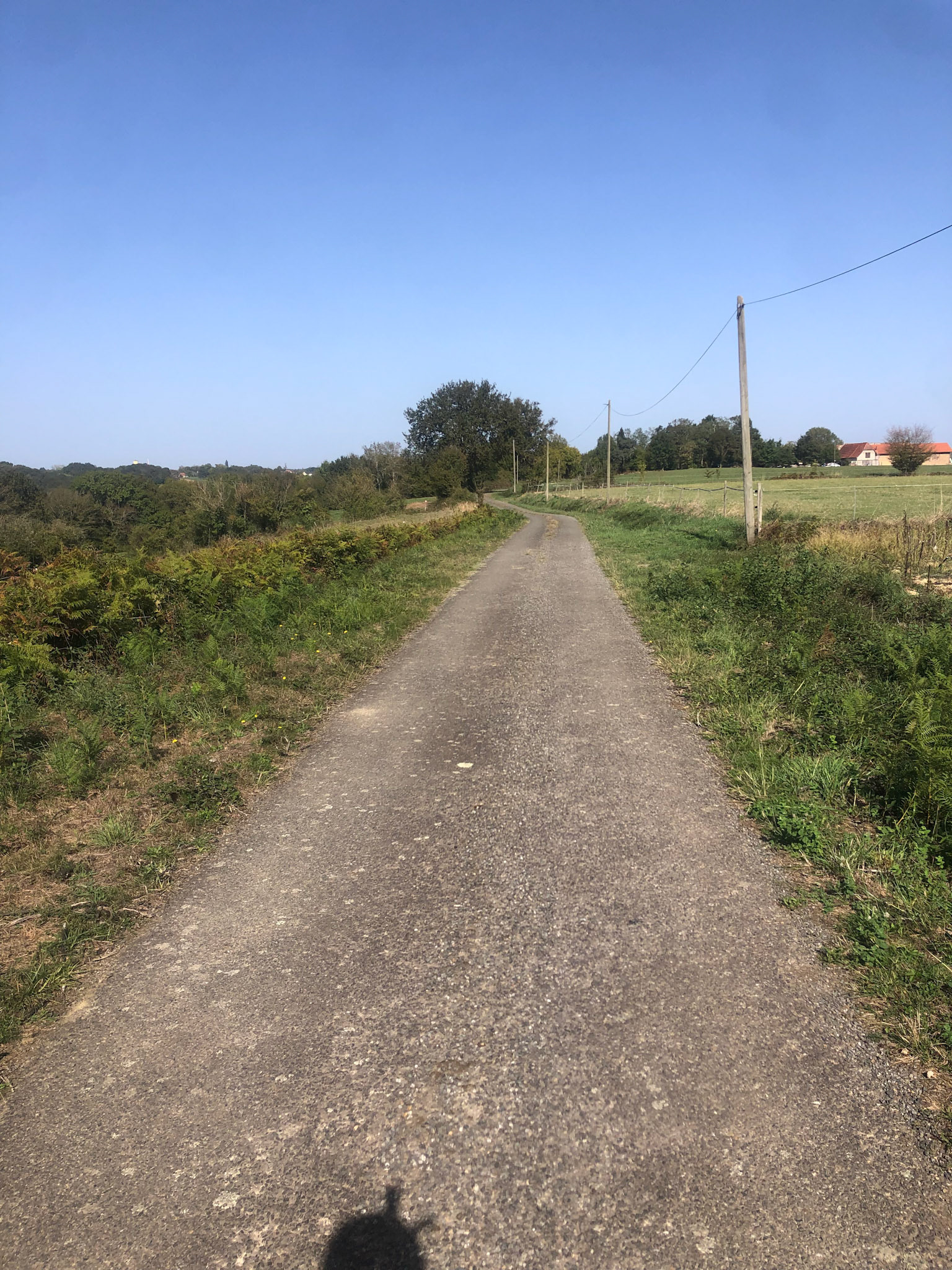 More disappearing pavement