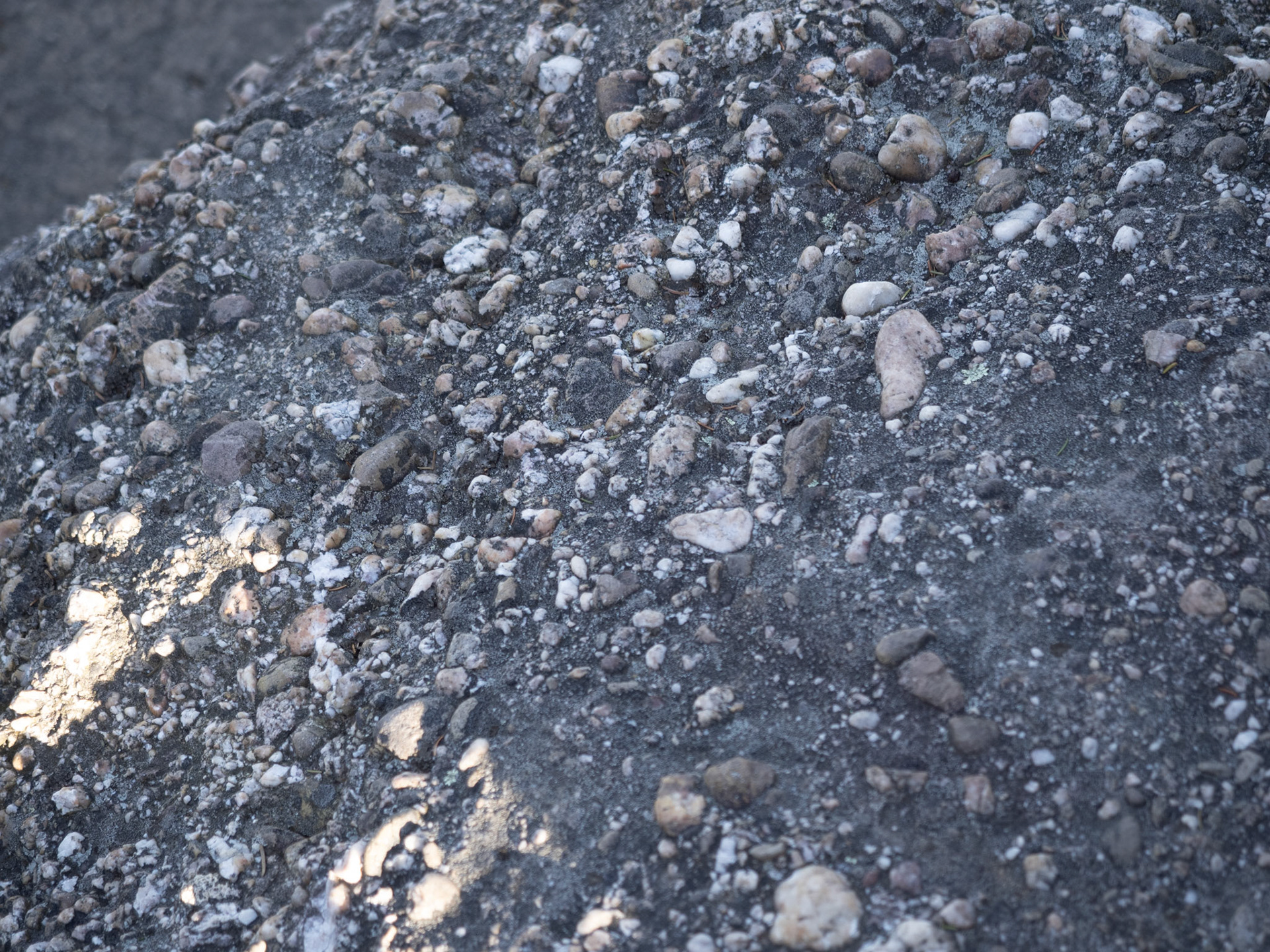 500 million year old debris flow metamorphed as Conglomerate