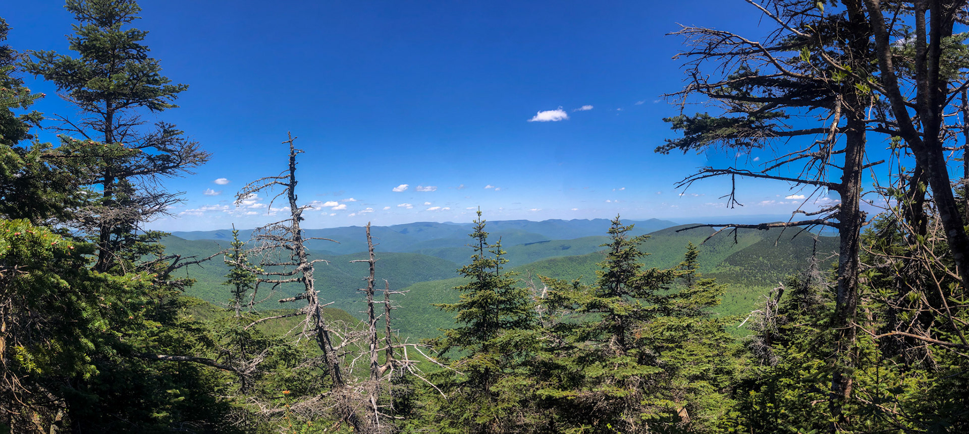 Devils Path Mountains in the background R-L Indian to Sugarloaf and ...