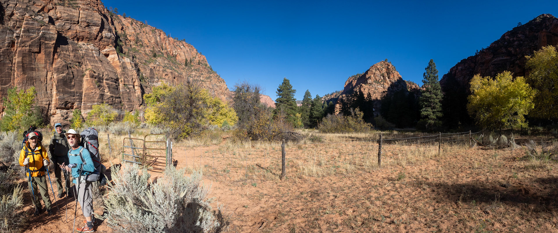 Now in an area open to grazing.