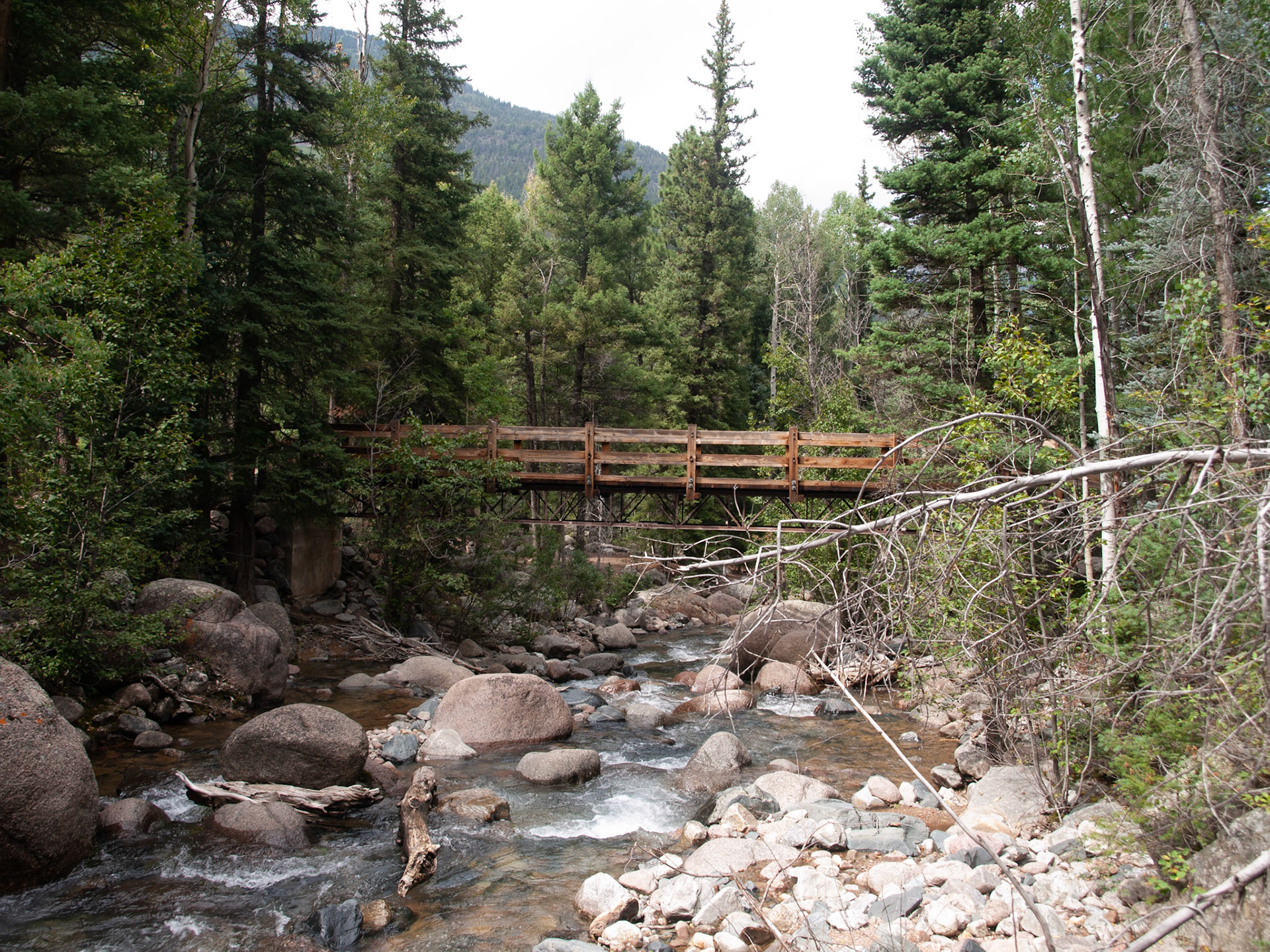 The trail to Purgatory Flats