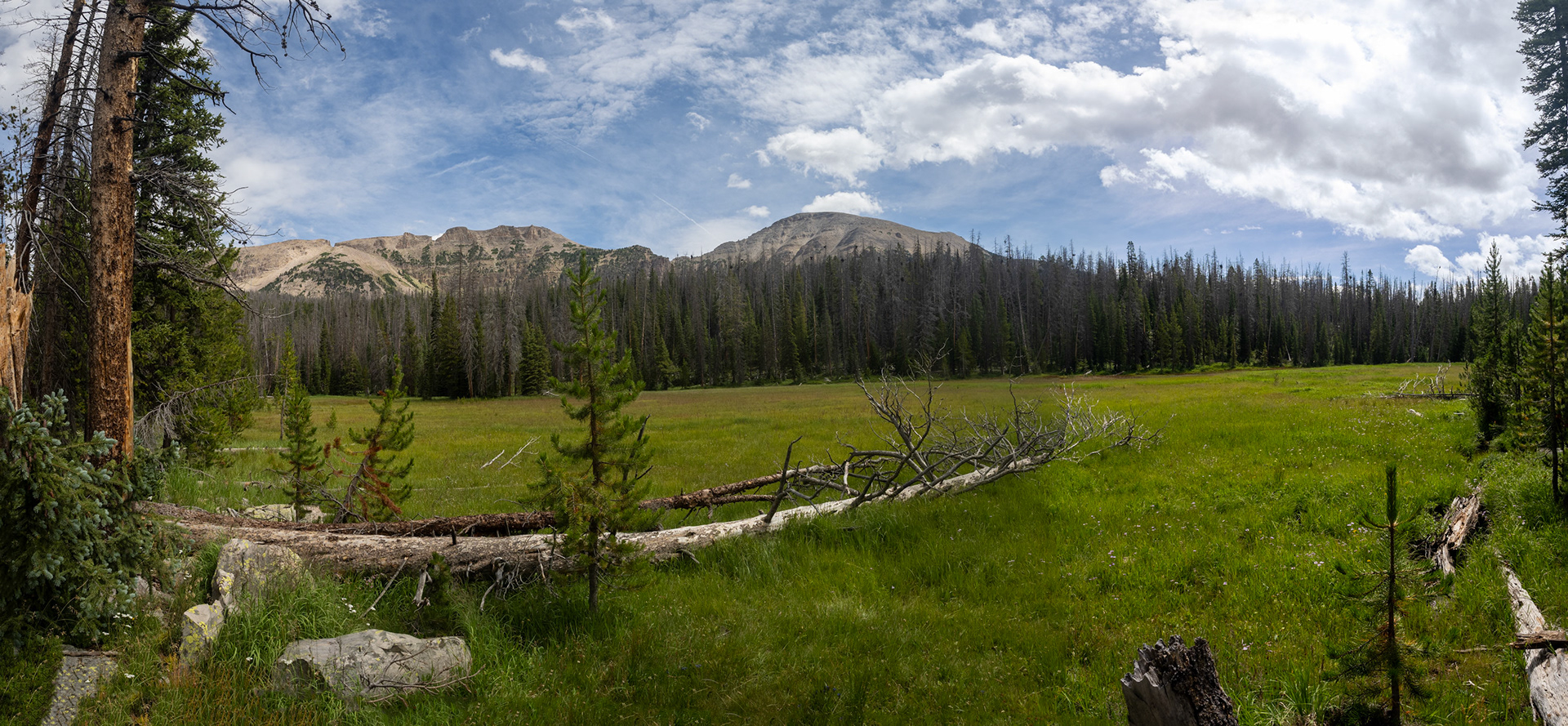 First big Meadow on the Highline Trail