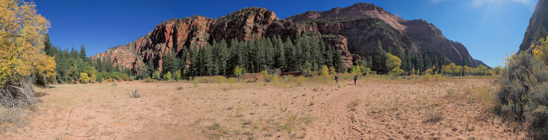 Down on the flats of Hop Valley