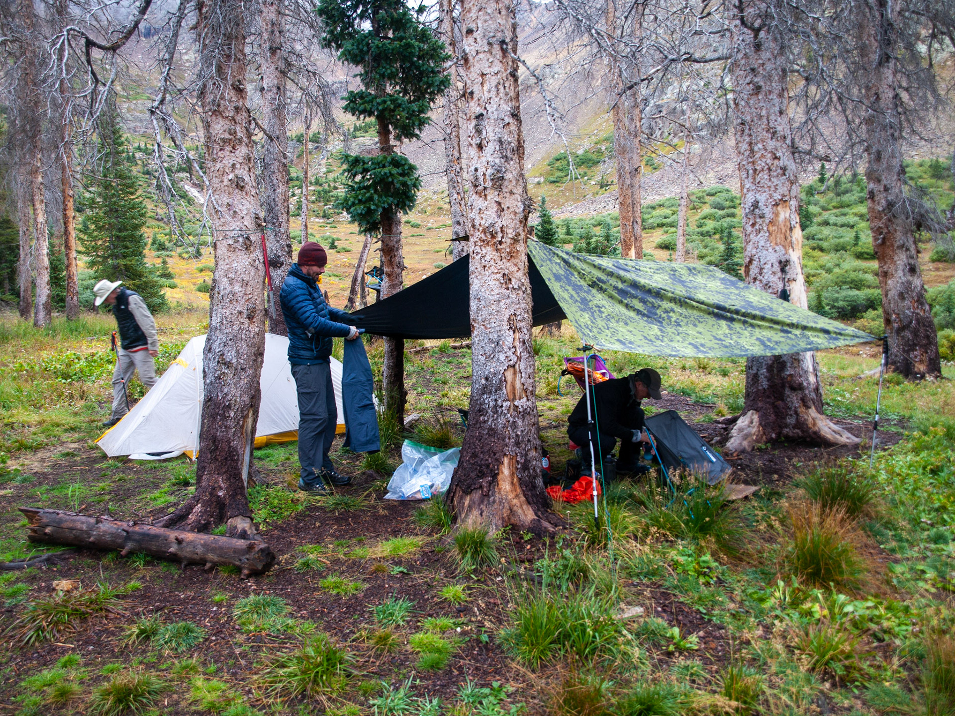 Glad we had these tarps!