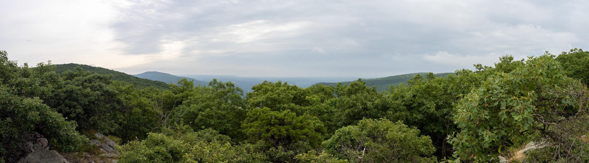 Looking West