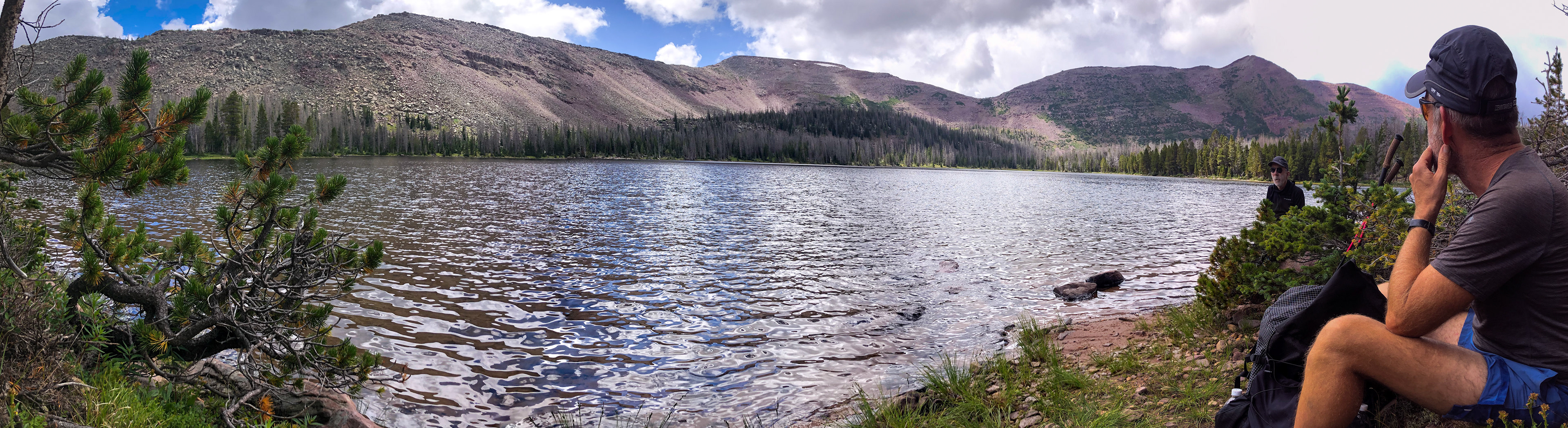 This and the next one demonstrate the limits to assembling these. Dave just doesn't look right.