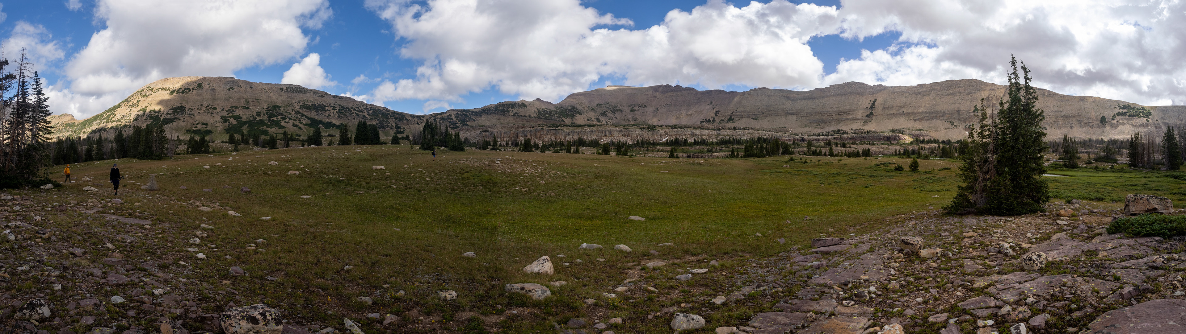 A Big Meadow