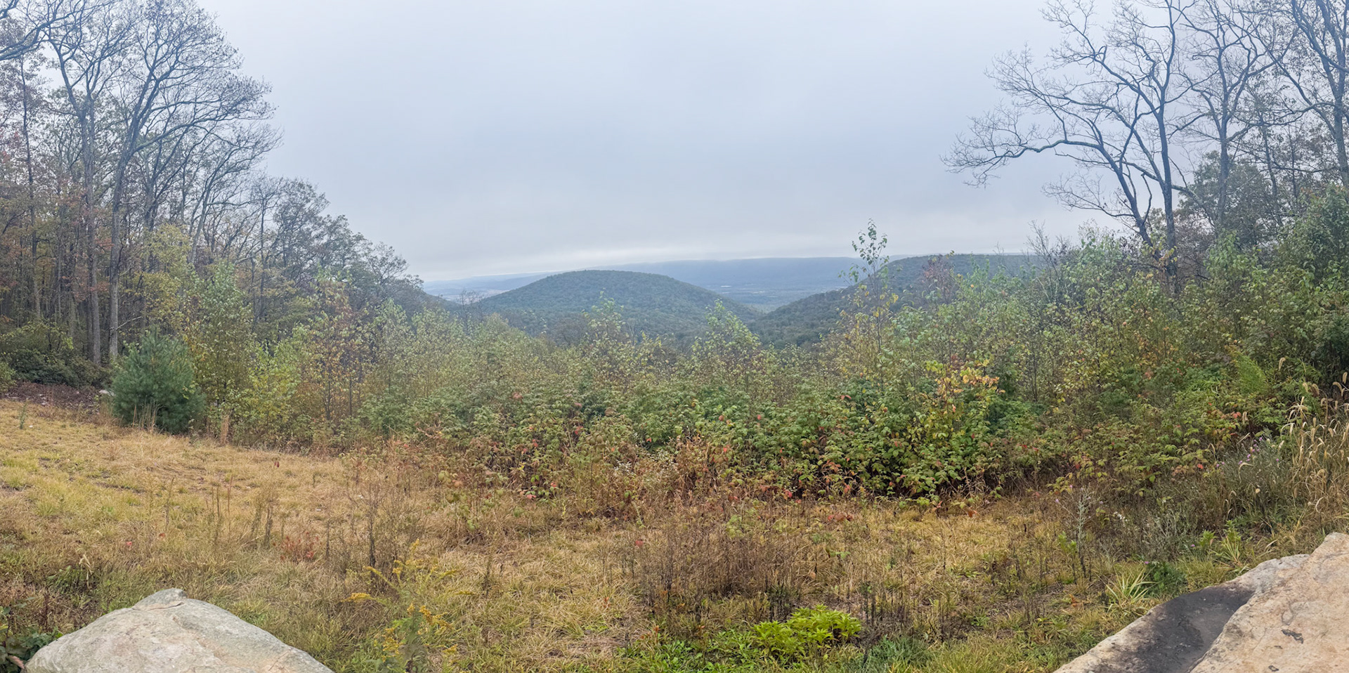 Bald Eagle State Forest Overlook