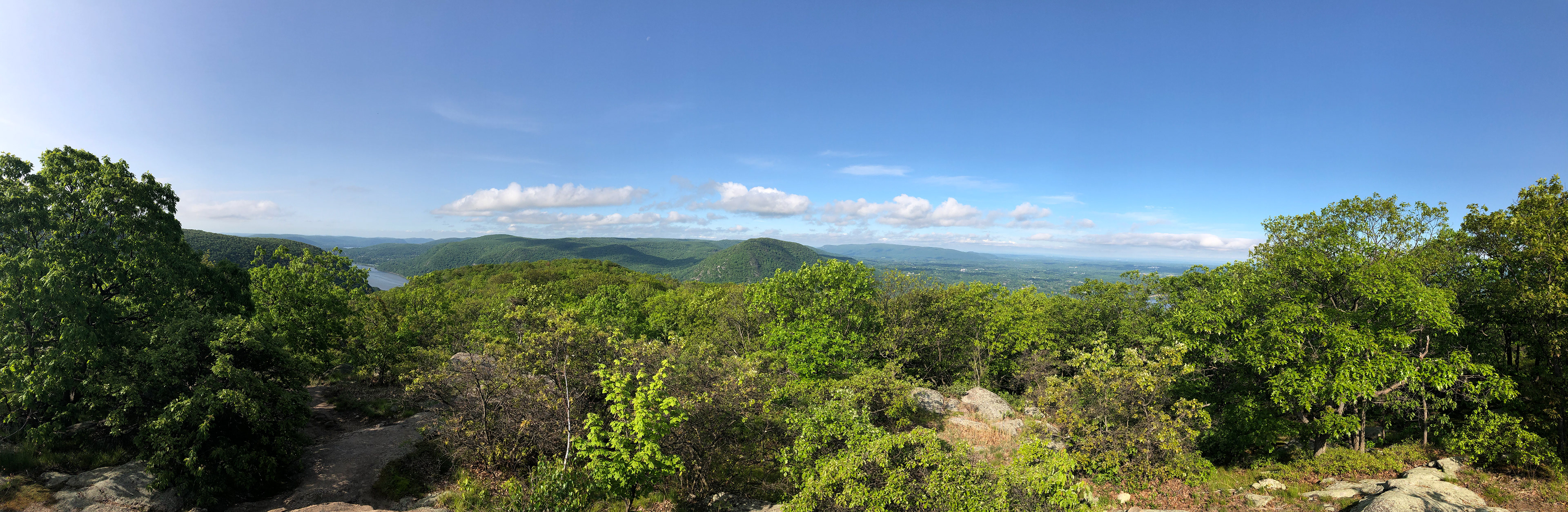 Looking West