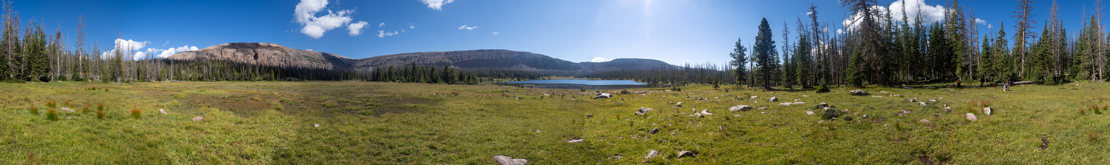 Giant Dayne Lake 360