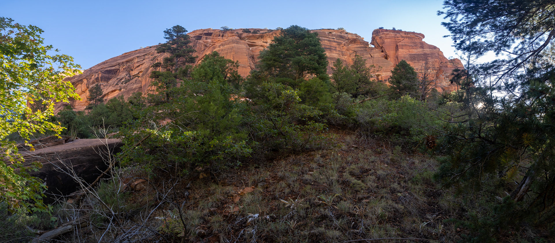 Reflected light Navajo Sandstone
