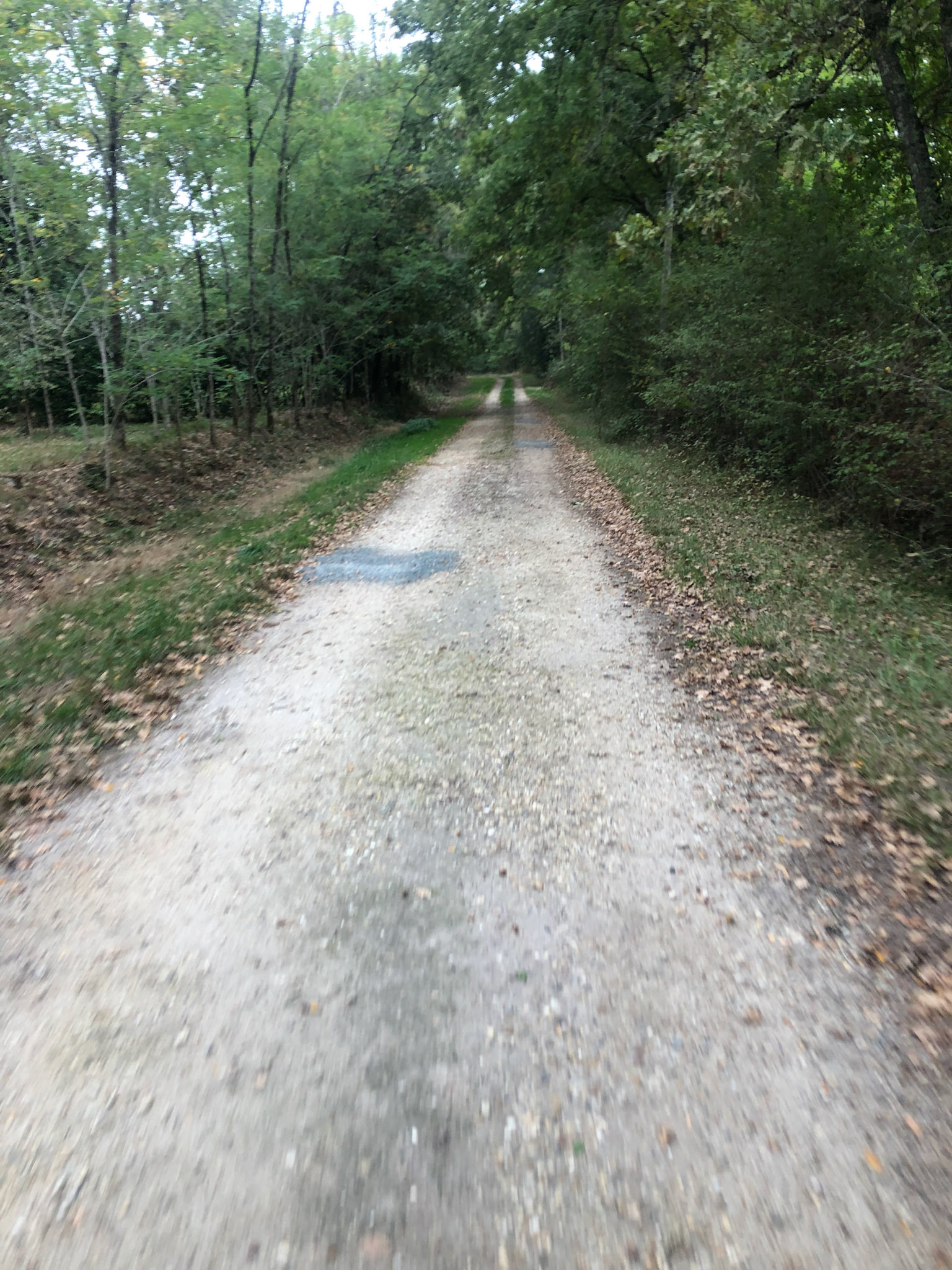 And then the pavement ended