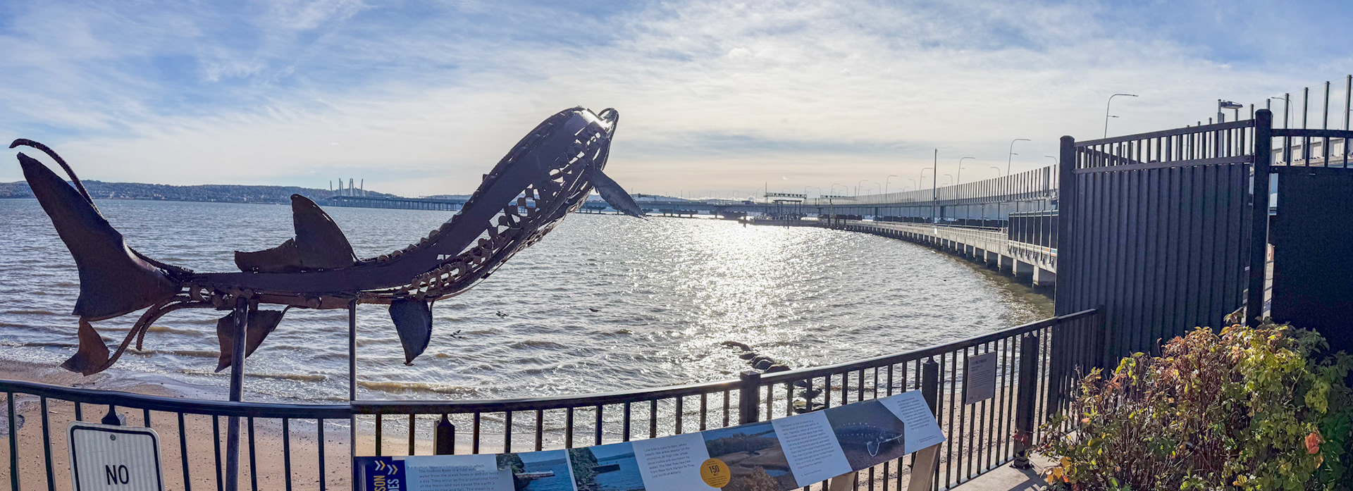 Leaping Sturgeon Mario Cuomo Bridge Nyack