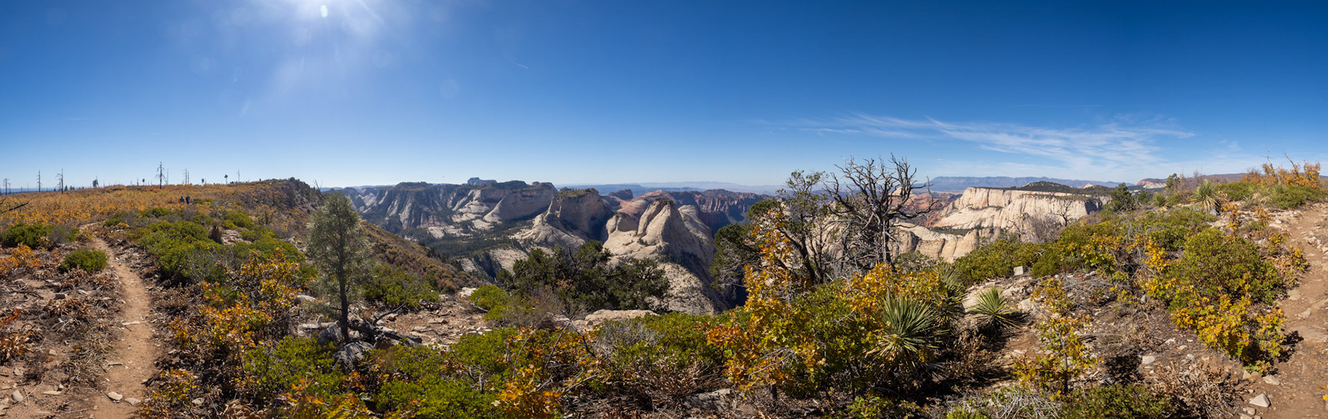 225 on the West Rim