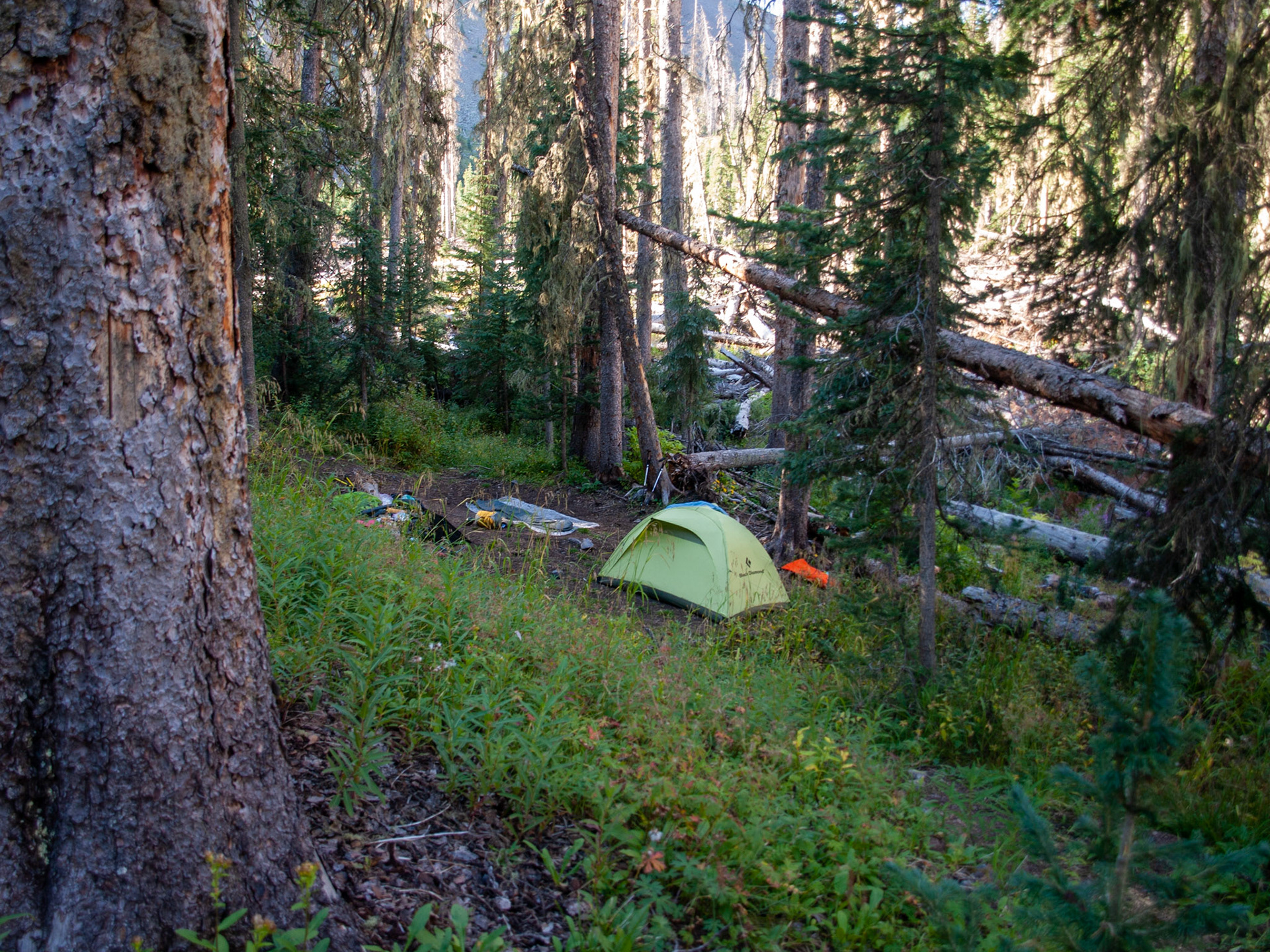 It was a tight camp