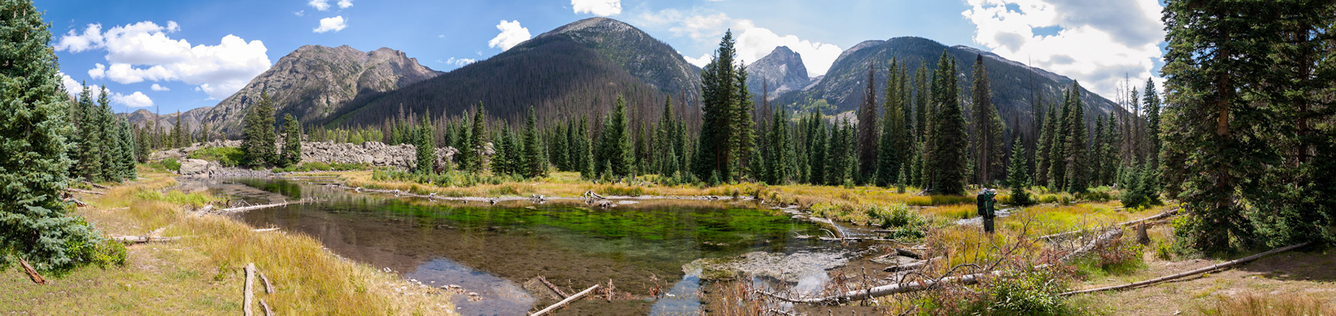 An upper Elk Creek meadow