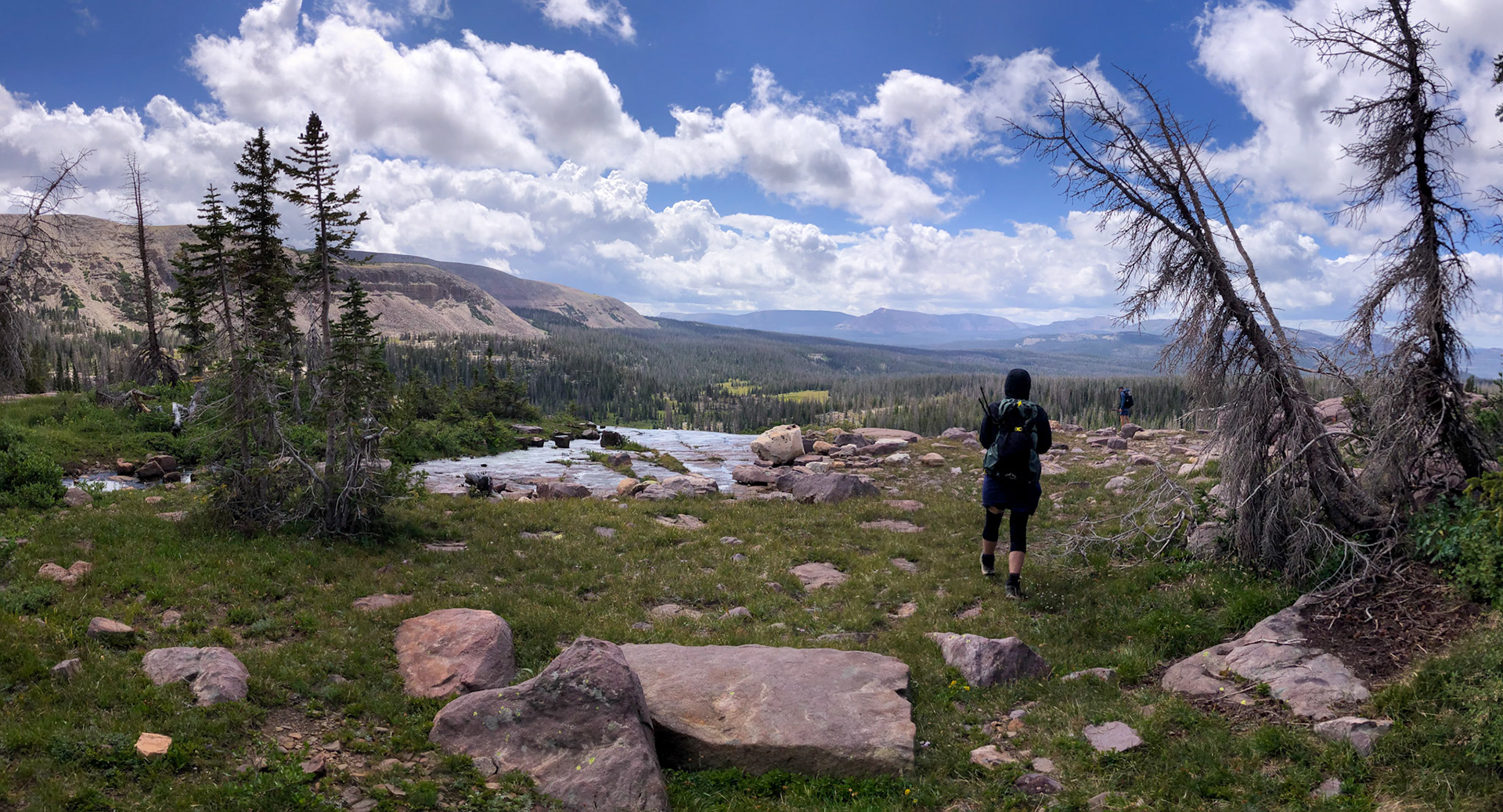 Looking out over the Falls
