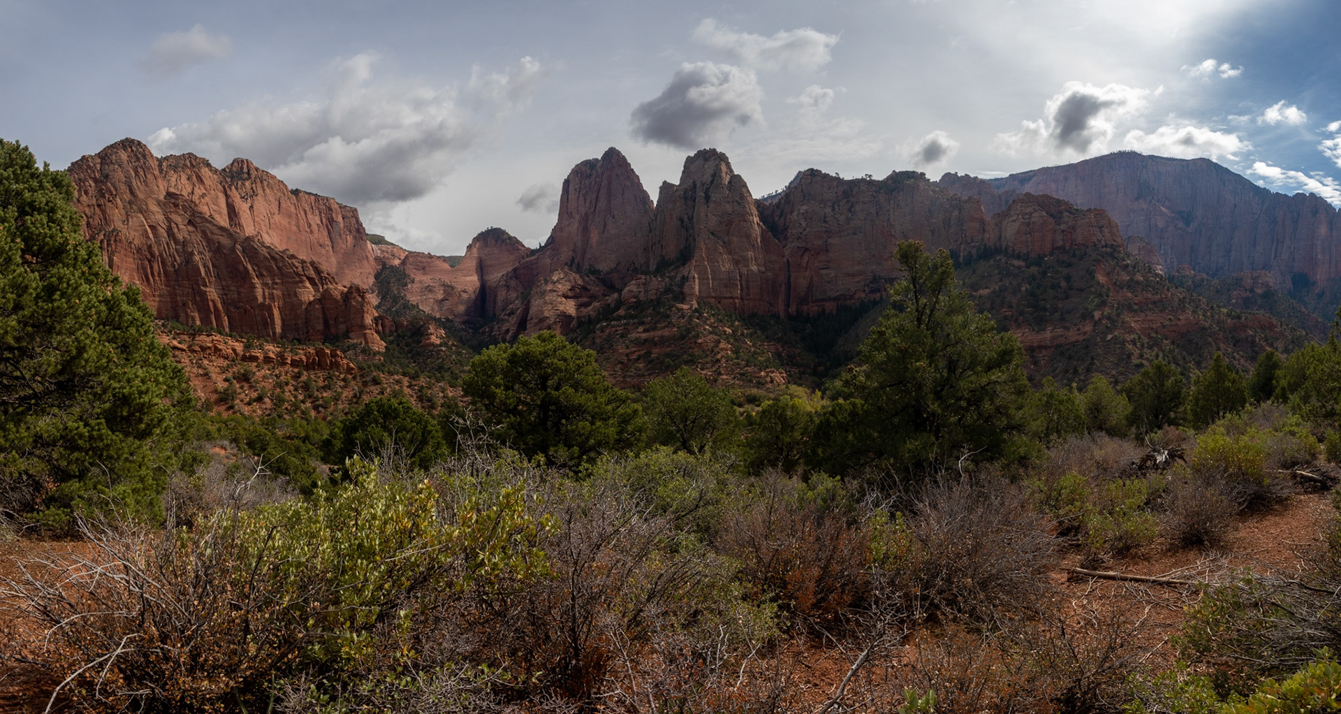 By the time we hit the trail the light was a wee bit harsh