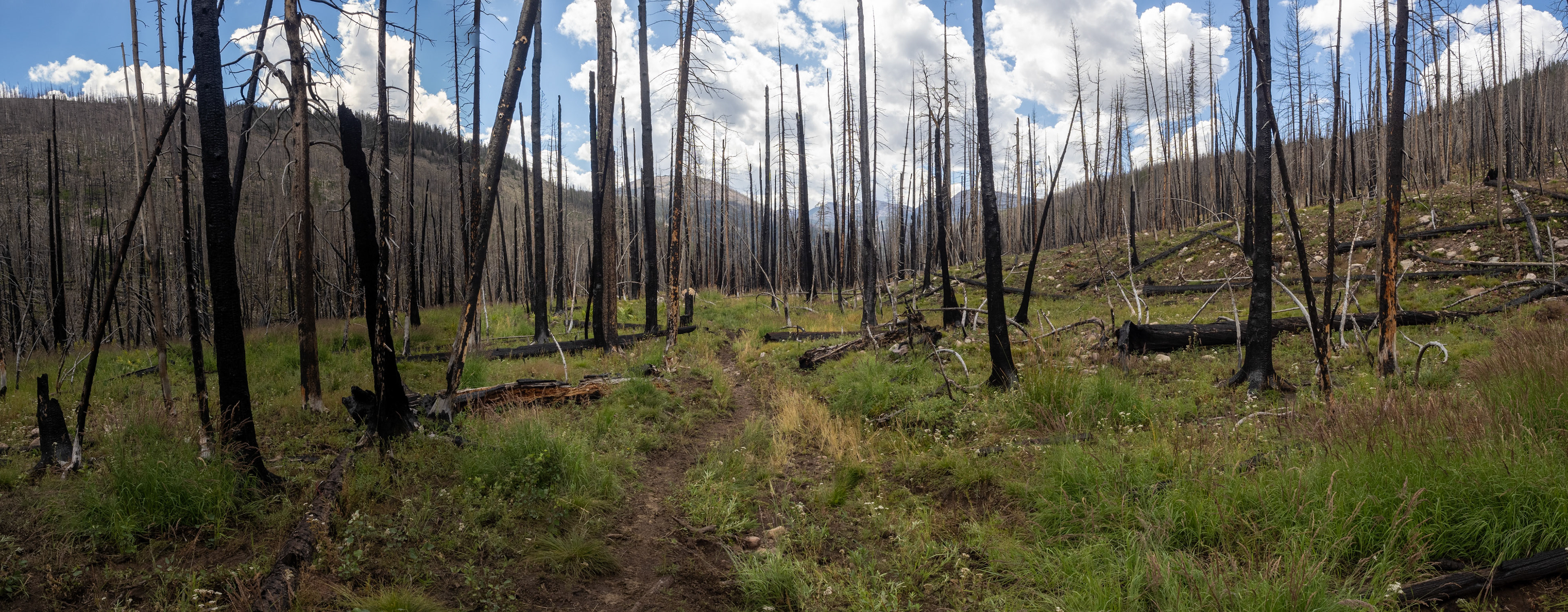 A burnout on the way out
