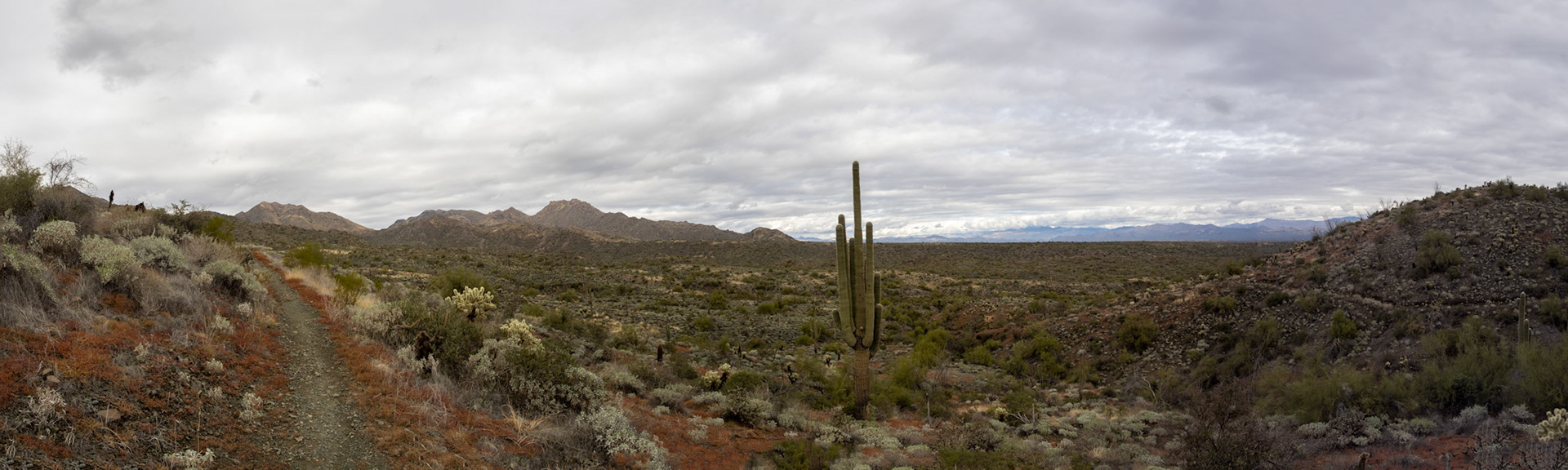 Behind Fountain Hills