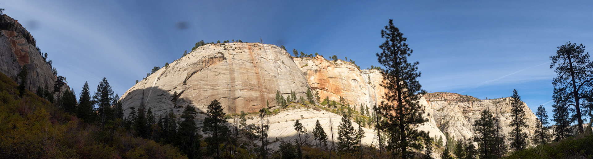 Wide shot