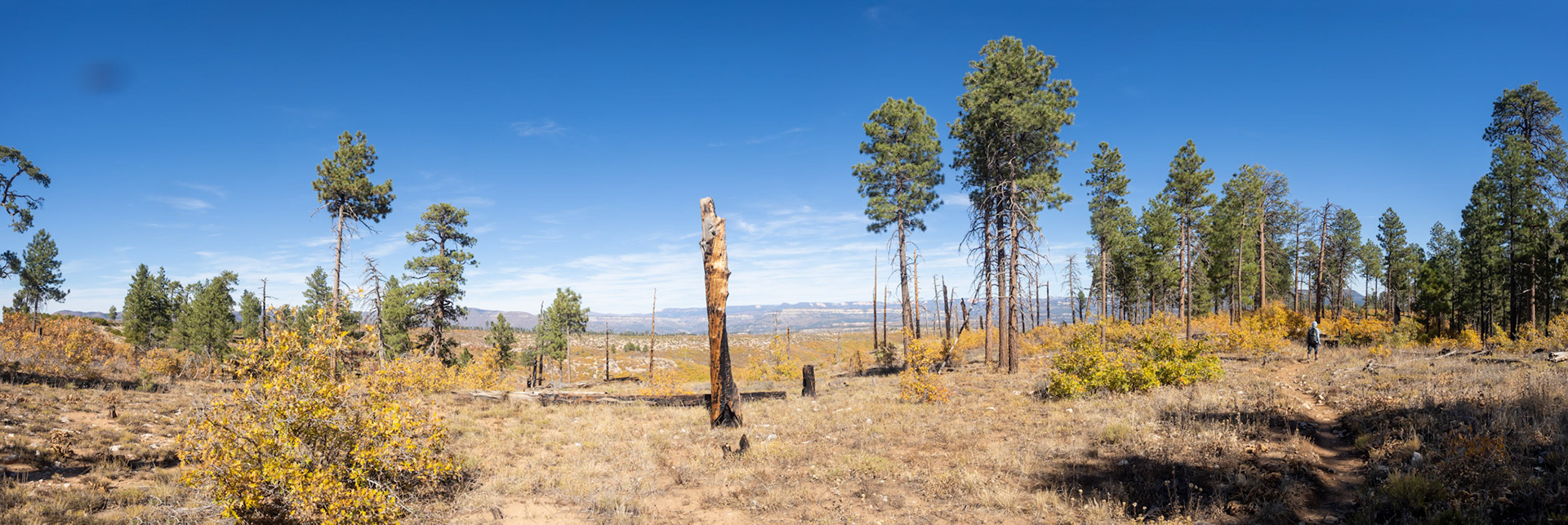Sentinel against the backdrop of Bryce. Everything between here and there eroded away over the last 100 million years