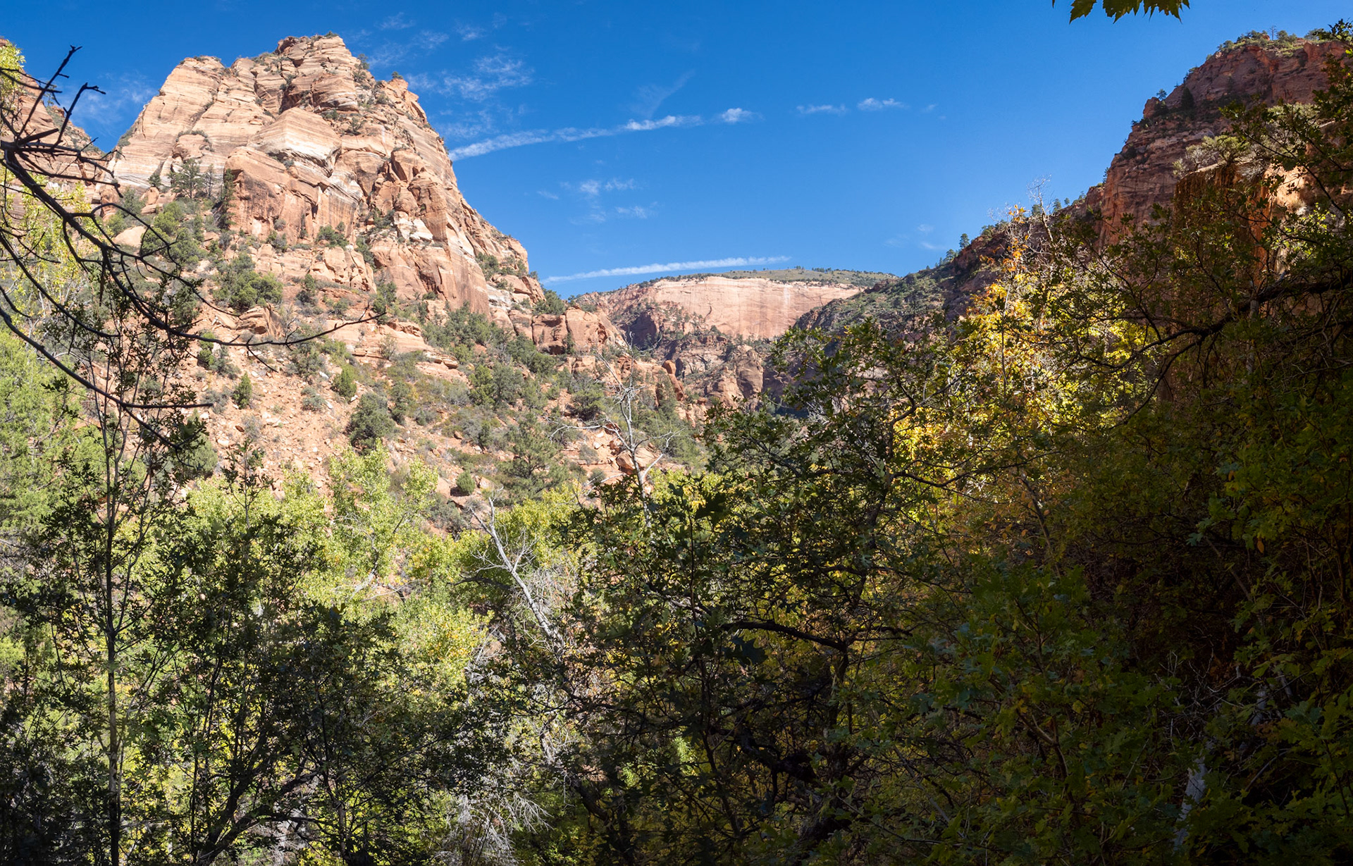 Somewhere up Willis Trail