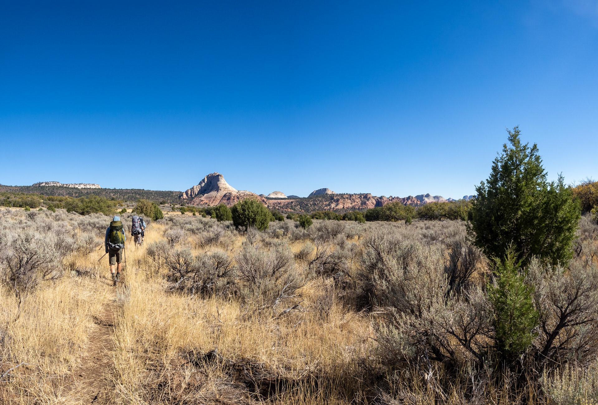 Connector Trail