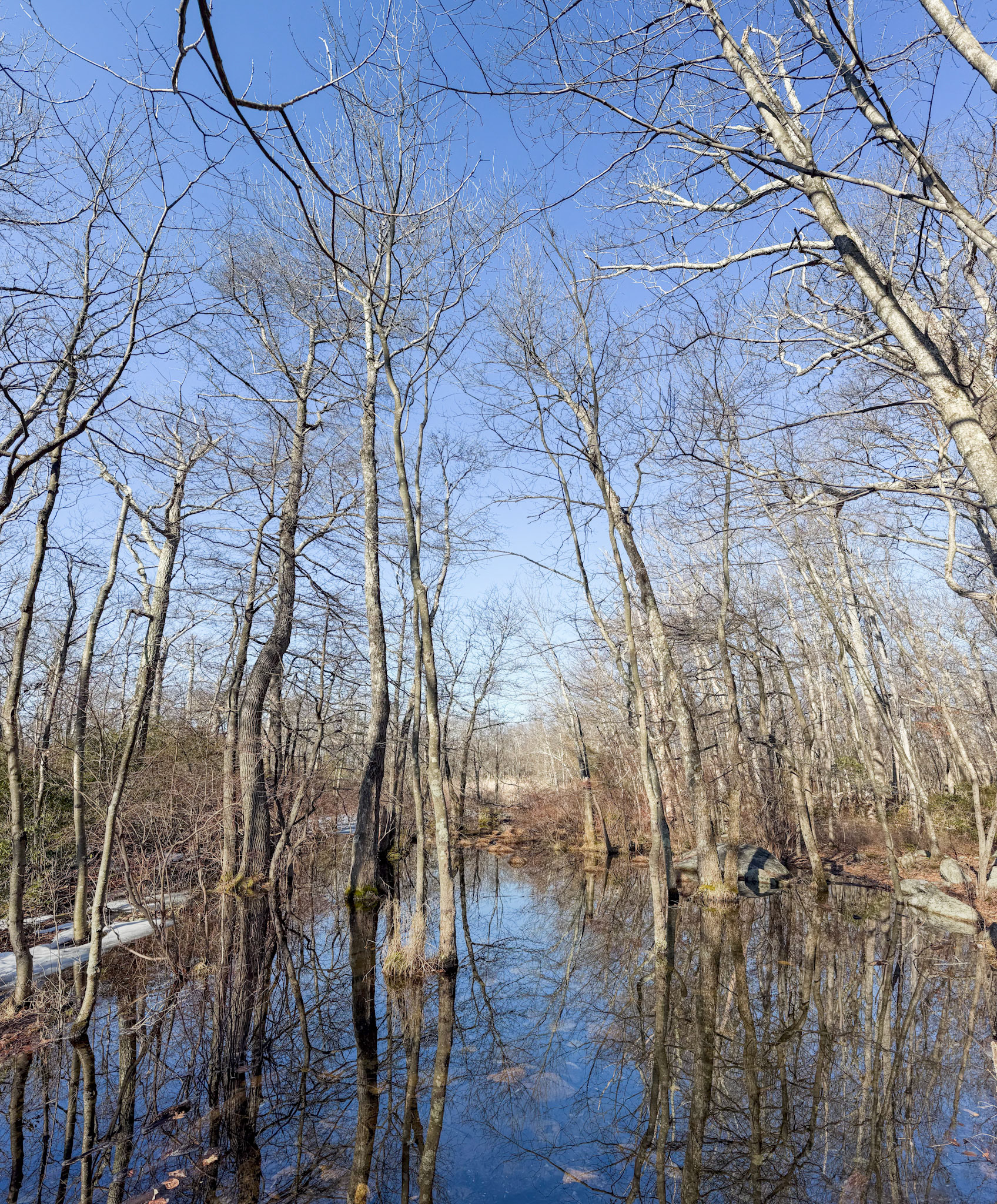 Snow Melt ponds