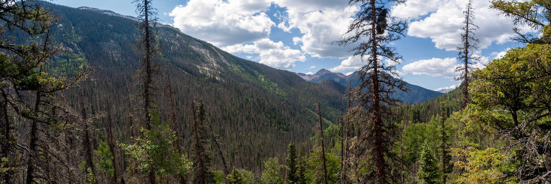 This hike delivered early returns