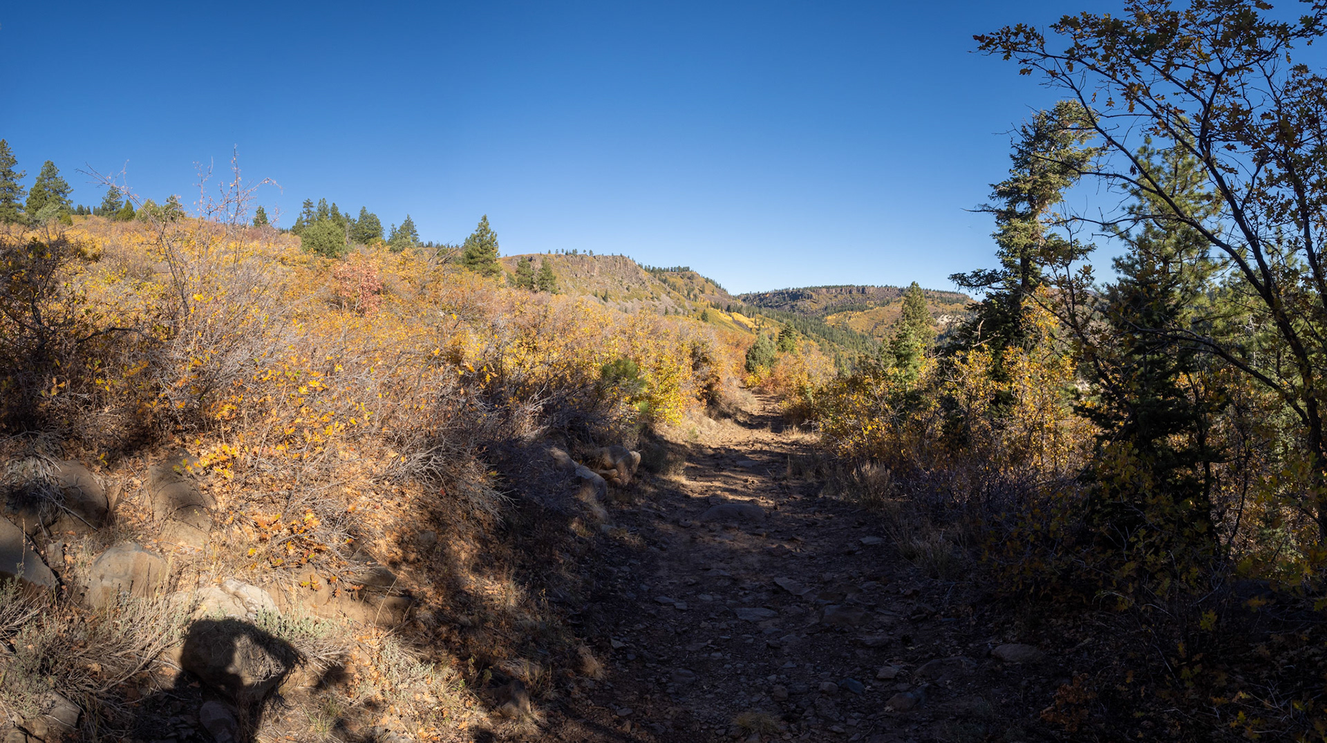 Over the pass and into upper reaches of Blue Creek 