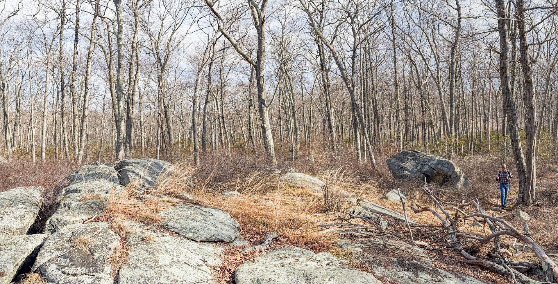 Buck Trail