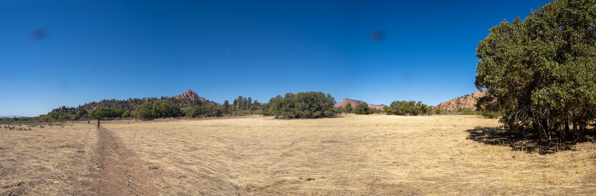 Kolob Terrace before the desert scrub begins